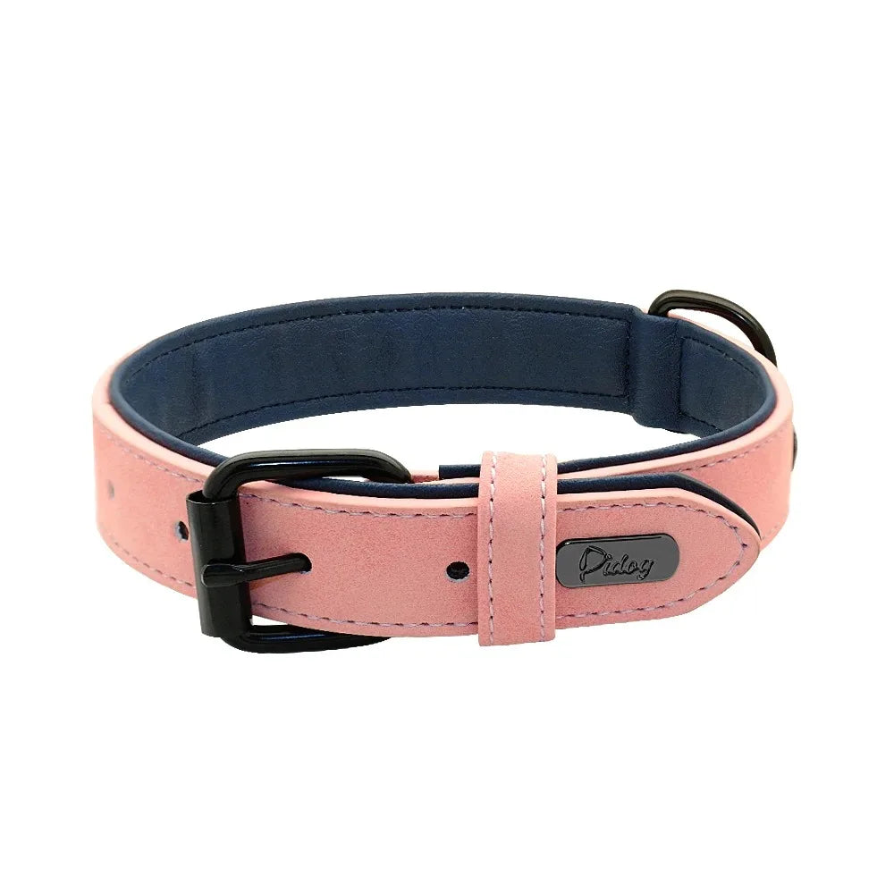 Personalisiertes Hundehalsband