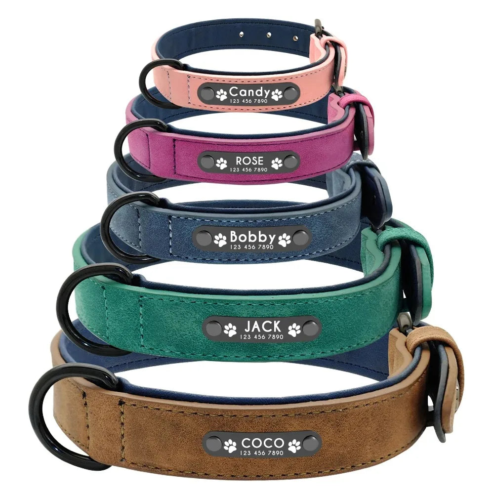 Personalisiertes Hundehalsband