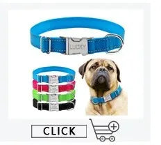 Personalisiertes Hundehalsband
