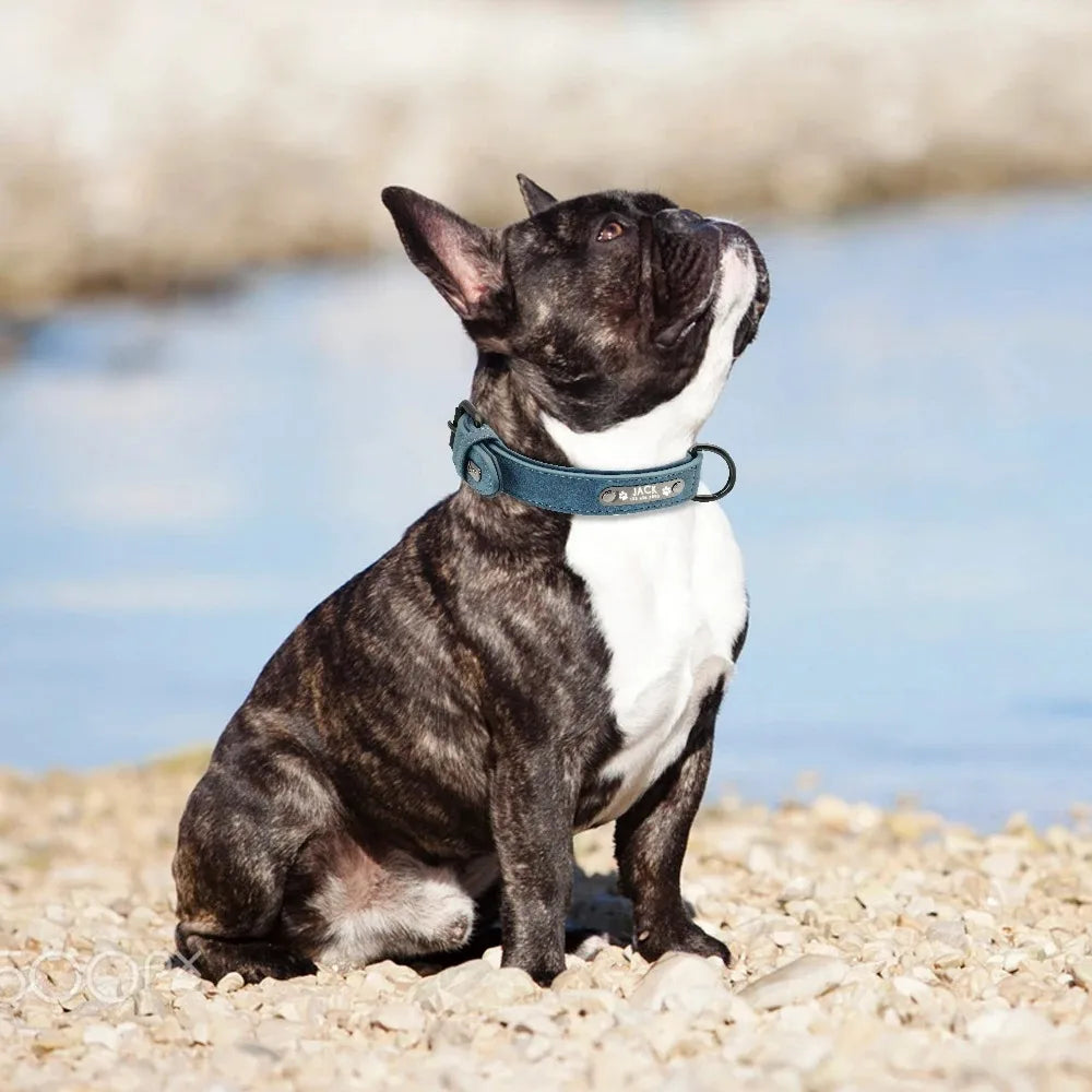 Personalisiertes Hundehalsband