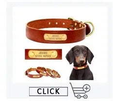 Personalisiertes Hundehalsband