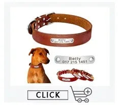 Personalisiertes Hundehalsband