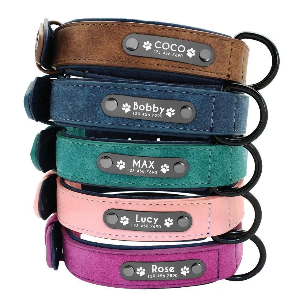 Personalisiertes Hundehalsband