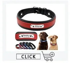 Personalisiertes Hundehalsband