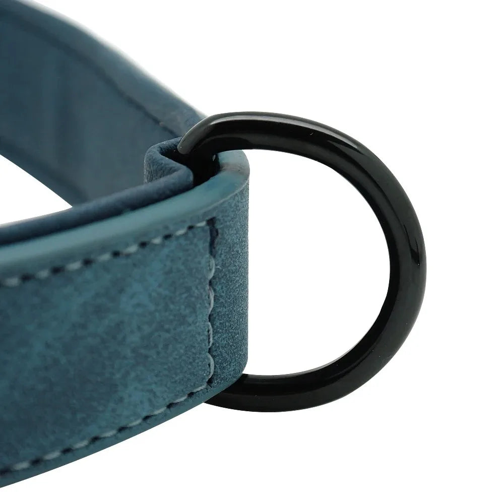 Personalisiertes Hundehalsband