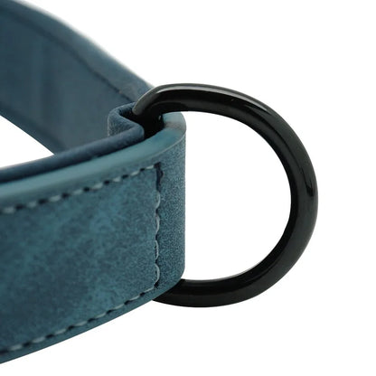 Personalisiertes Hundehalsband
