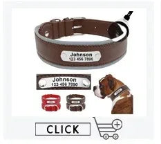 Personalisiertes Hundehalsband