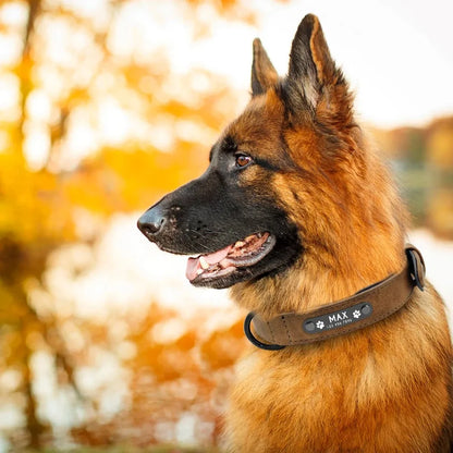 Personalisiertes Hundehalsband
