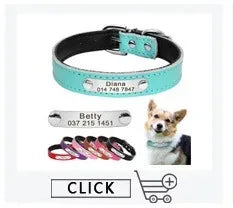 Personalisiertes Hundehalsband
